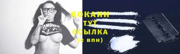 твердый Балахна